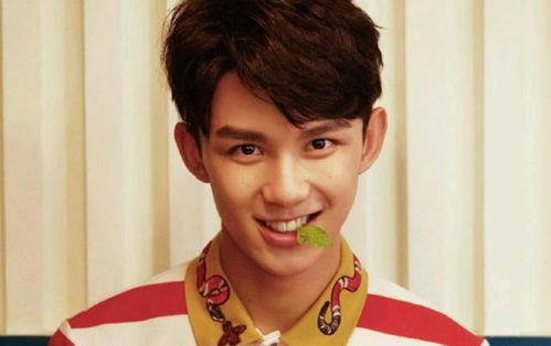 娱乐吃瓜君三石弟弟,揭秘娱乐圈幕后故事